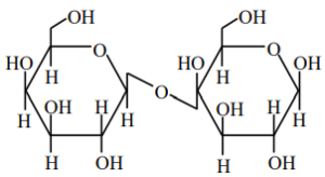 Option C