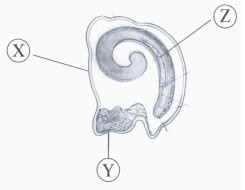 Question diagram