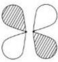 Option C