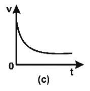 Option C
