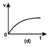 Option D