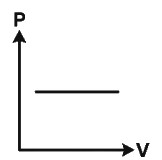 Option D