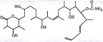 Question diagram