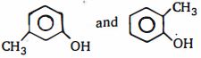 Option B