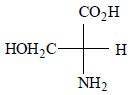 Option B