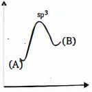 Option B