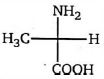 Option C