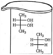 Option C
