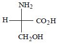 Option C