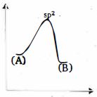 Option C