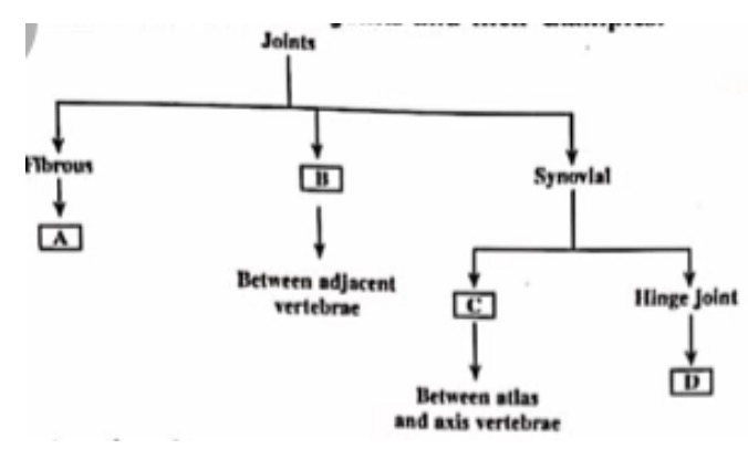 Question diagram