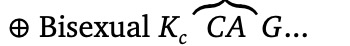 Option B