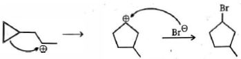 Option B