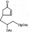Option B