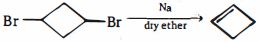 Option D