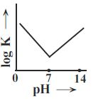 Option B