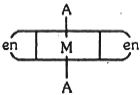 Option C