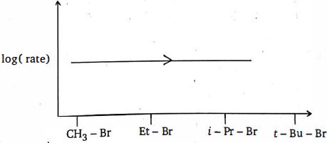 Option B