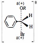 Option B