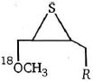 Option C