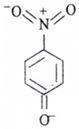 Option C