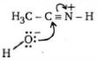 Option B