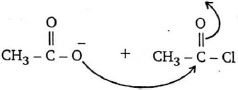 Option C