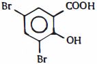 Option B