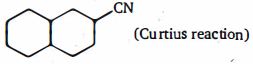 Option C