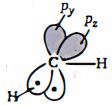 Option C