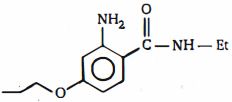 Option C