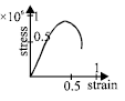 Option D