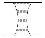 Option C