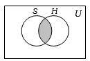 Option B