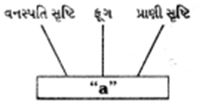 Question diagram