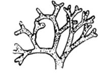 Question diagram