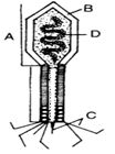 Question diagram