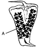 Question diagram
