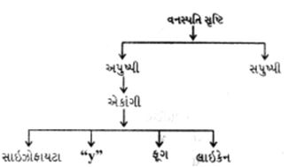 Question diagram