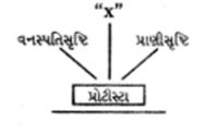 Question diagram