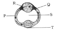 Question diagram