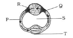 Question diagram
