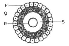 Question diagram