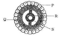Question diagram