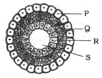 Question diagram