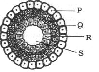 Question diagram
