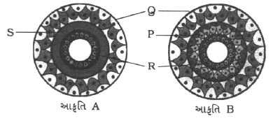 Question diagram