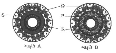Question diagram