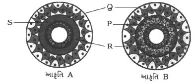 Question diagram