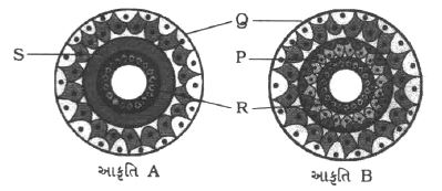 Question diagram